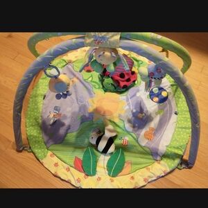 Baby Play Gym Mat - Green and Purple Activity Gym